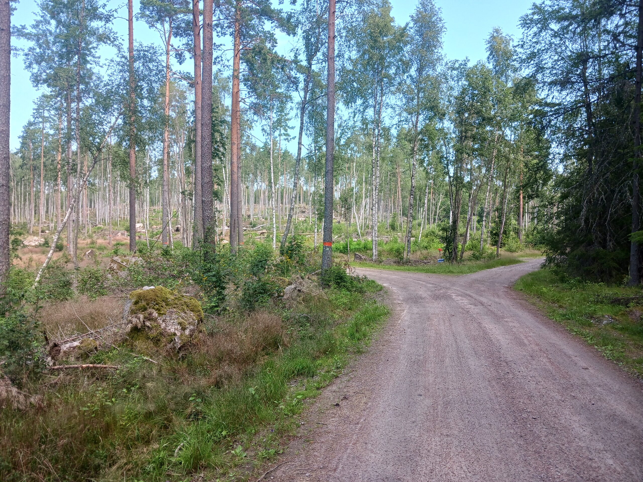 Walking from Badsta Camping